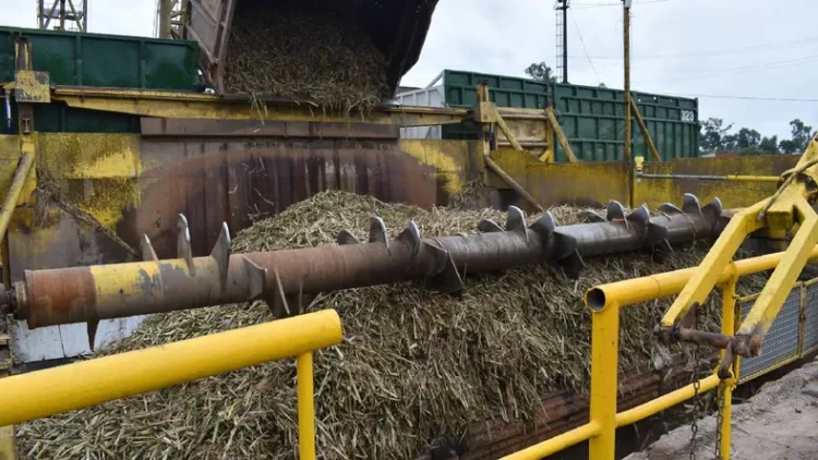 El Ingenio Ledesma inauguró oficialmente su zafra productiva número 118