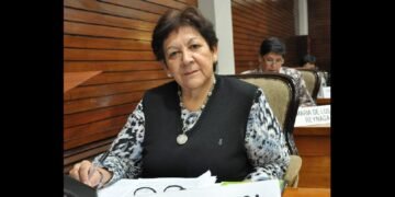 María Ferrín alertó sobre el impacto de los recortes en la educación pública