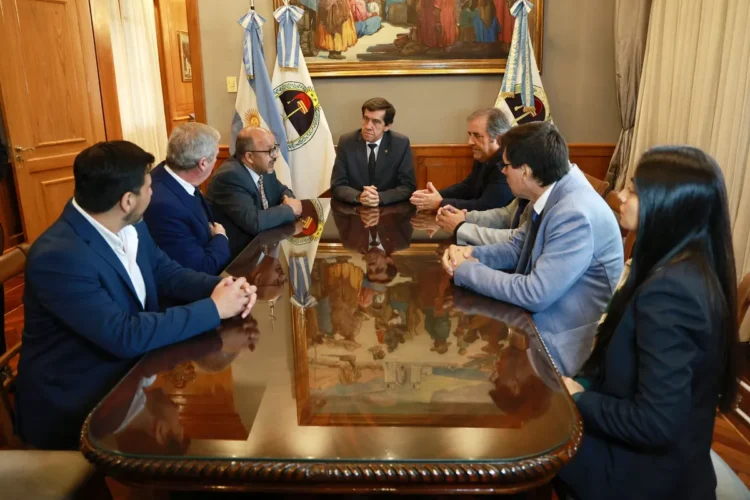 Jujuy y la India coordinan una ambiciosa agenda comercial y de inversiones