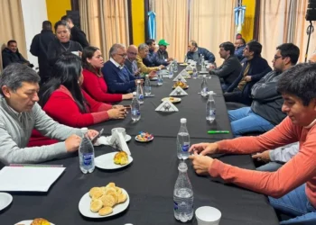 Intendentes de los Valles y Yungas quieren pedir al Congreso de la Nación que eliminen el IVA de las boletas de luz