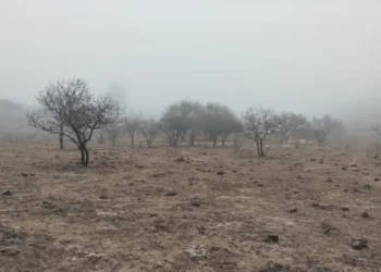 650 hectáreas consumidas por terrible incendio en Volcán