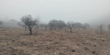 650 hectáreas consumidas por terrible incendio en Volcán