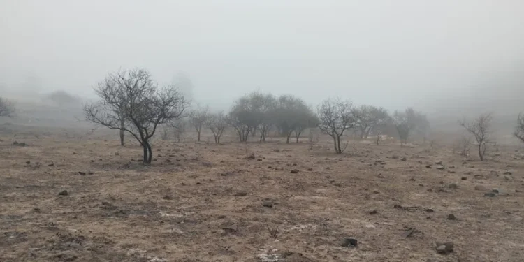 650 hectáreas consumidas por terrible incendio en Volcán