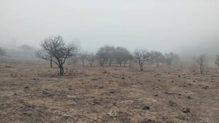 650 hectáreas consumidas por terrible incendio en Volcán