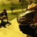Obligó a tomar alcohol e intentó abusar a una niña de 11 años