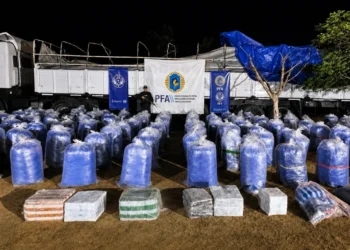 Secuestraron más de 6 toneladas de hojas de coca en Jujuy 2026