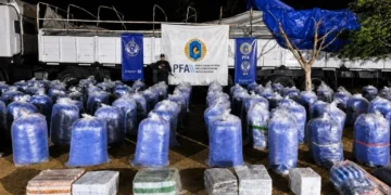 Secuestraron más de 6 toneladas de hojas de coca en Jujuy 2026