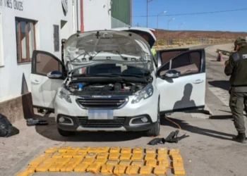 Desbaratan una banda narco e incautan más de 61 kilos de cocaína en Jujuy y Salta