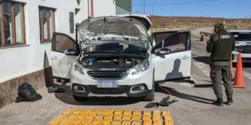 Desbaratan una banda narco e incautan más de 61 kilos de cocaína en Jujuy y Salta