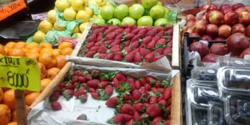 Las intensas heladas provocaron subas en los precios de las frutas y verduras en Jujuy