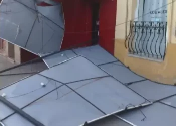 El Viento causó destrozos en San Salvador de Jujuy: caída de árboles y cortes de luz