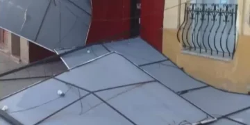 El Viento causó destrozos en San Salvador de Jujuy: caída de árboles y cortes de luz