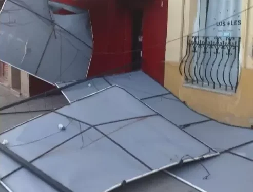 El Viento causó destrozos en San Salvador de Jujuy: caída de árboles y cortes de luz