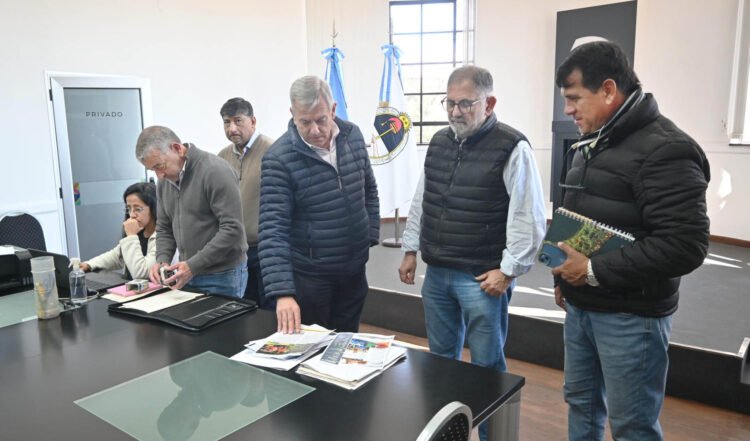 El Municipio adquirirá una chipeadora de gran porte para reutilizar residuos de poda