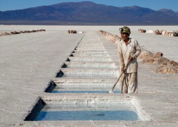 Empresa estatal india busca invertir en Jujuy