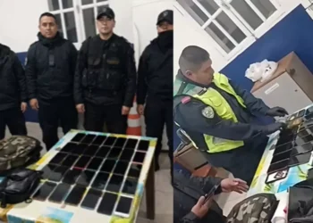 Recital de La Renga: Un porteño se robó 39 celulares