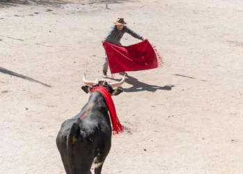 Alta demanda para asistir al tradicional Toreo de la Vincha en Casabindo