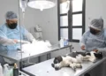 Te contamos donde atiende el Quirófano Externo de Zoonosis
