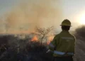 Contienen un incendio forestal en Tiraxi Chico tras un intenso operativo de brigadistas y apoyo aéreo