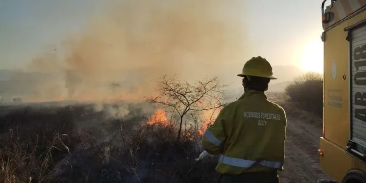 Contienen un incendio forestal en Tiraxi Chico tras un intenso operativo de brigadistas y apoyo aéreo