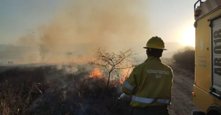 Contienen un incendio forestal en Tiraxi Chico tras un intenso operativo de brigadistas y apoyo aéreo