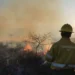 Contienen un incendio forestal en Tiraxi Chico tras un intenso operativo de brigadistas y apoyo aéreo