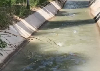 Terrible: Encontraron a un hombre sin vida en un canal de riego en Pampa Blanca