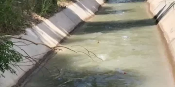 Terrible: Encontraron a un hombre sin vida en un canal de riego en Pampa Blanca