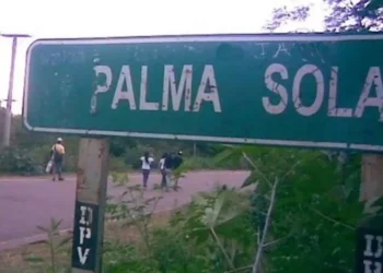 Condenaron a prisión perpetua al autor del homicidio de un sereno en Palma Sola
