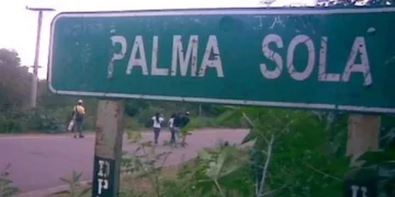 Condenaron a prisión perpetua al autor del homicidio de un sereno en Palma Sola