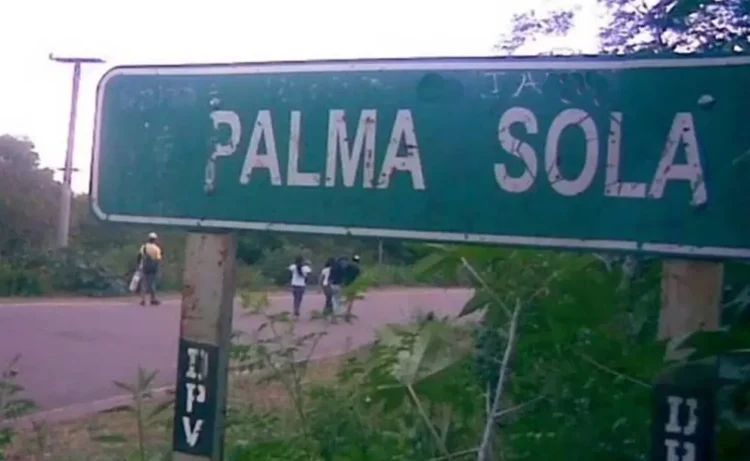 Condenaron a prisión perpetua al autor del homicidio de un sereno en Palma Sola