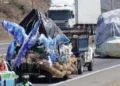 Andá con cuidado: Inicia el traslado de carrozas a Ciudad Cultural