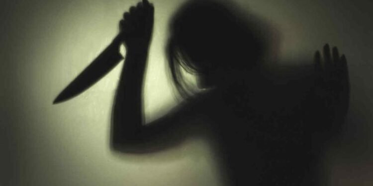 Por violento: Una mujer apuñaló a su expareja tras sufrir agresiones físicas