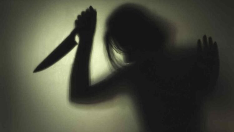Por violento: Una mujer apuñaló a su expareja tras sufrir agresiones físicas